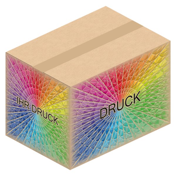 Faltkarton 430 x 300 x 300 mm A3 mit Digitaldruck