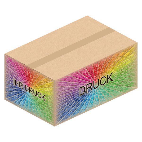 Faltkarton 580 x 380 x 270 mm (2-wellig) mit Digitaldruck