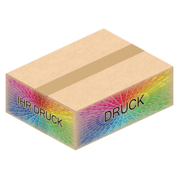 Faltkarton 312 x 242 x 104 mm (2-wellig) mit Digitaldruck