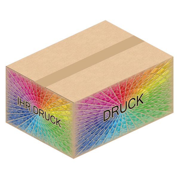 Faltkarton 380 x 280 x 180 mm (2-wellig) mit Digitaldruck