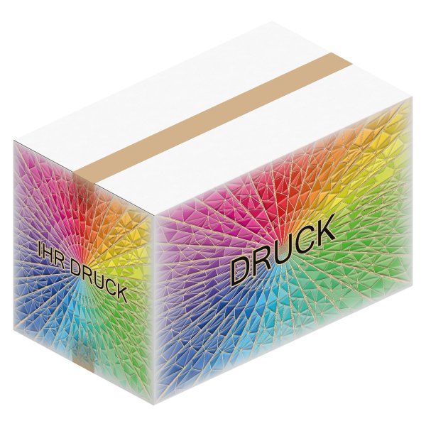 Faltkarton 485 x 285 x 300 mm (2-wellig) Weiß mit Digitaldruck