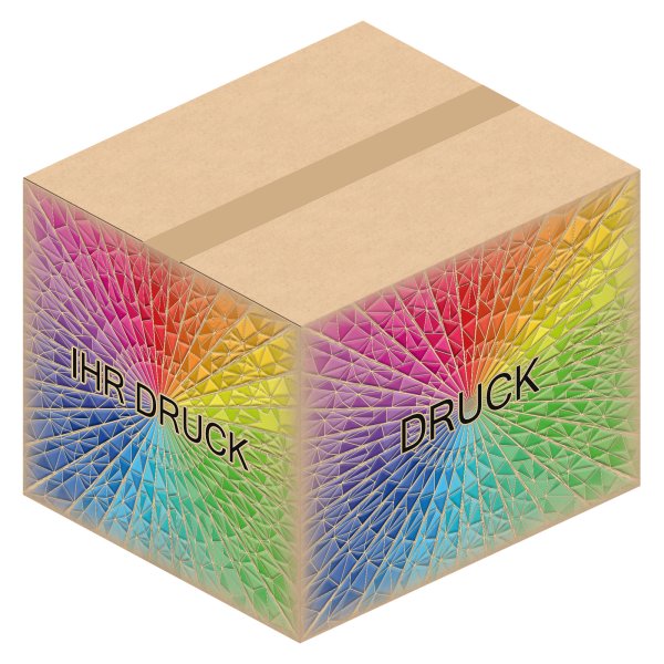 Faltkarton 420 x 370 x 270-330 mm (2-wellig) mit Digitaldruck