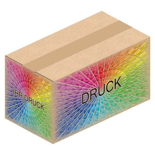 Faltkarton 234 x 124 x 118 mm Weiß mit Digitaldruck