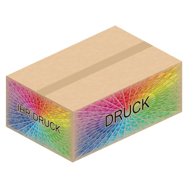 Faltkarton 590 x 390 x 230 mm mit Digitaldruck