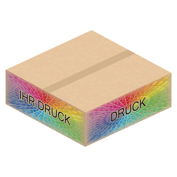 Faltkarton 546 x 546 x 182 mm (2-wellig) mit Digitaldruck