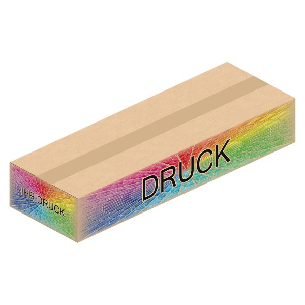 Faltkarton 590 x 200 x 60-100 mm mit Digitaldruck