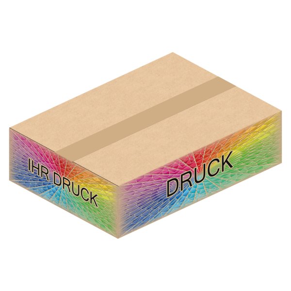 Faltkarton 372 x 268 x 100 mm (2-wellig) mit Digitaldruck