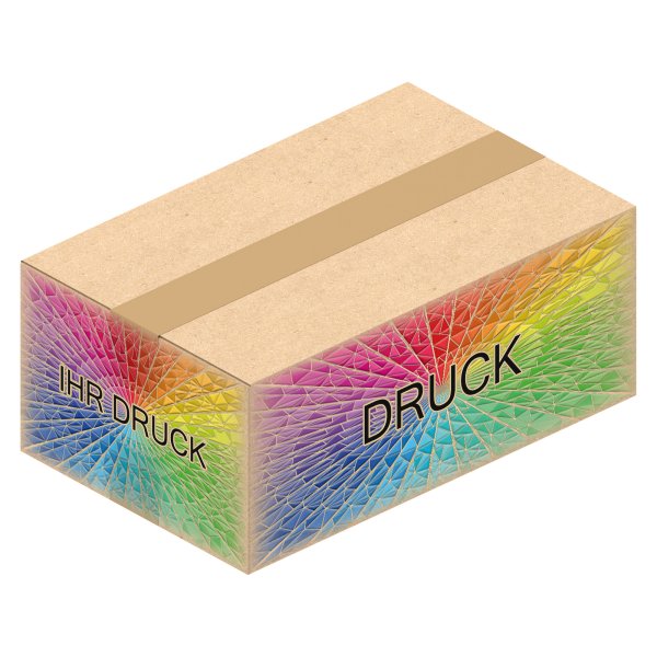Faltkarton 252 x 162 x 104 mm (2-wellig) mit Digitaldruck