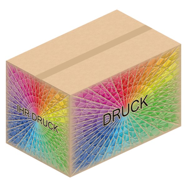 Faltkarton 800 x 500 x 500 mm (2-wellig) mit Digitaldruck