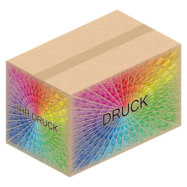 Faltkarton 500 x 310 x 310 mm (2-wellig) mit Digitaldruck