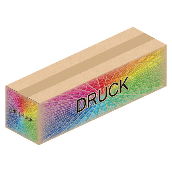 Faltkarton 385 x 110 x 105 mm (2-wellig) mit Digitaldruck