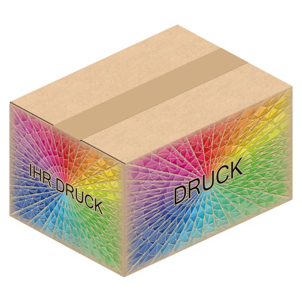 Faltkarton 194 x 144 x 110 mm mit Digitaldruck