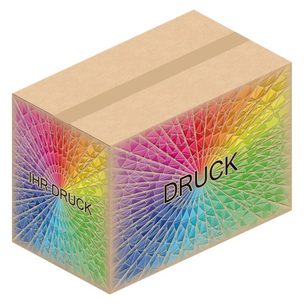 Faltkarton 480 x 280 x 330 mm (2-wellig) mit Digitaldruck