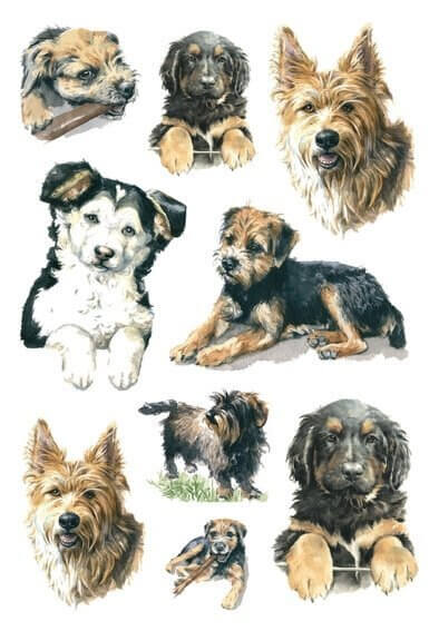 HERMA 3341 10x Sticker DECOR Hunde