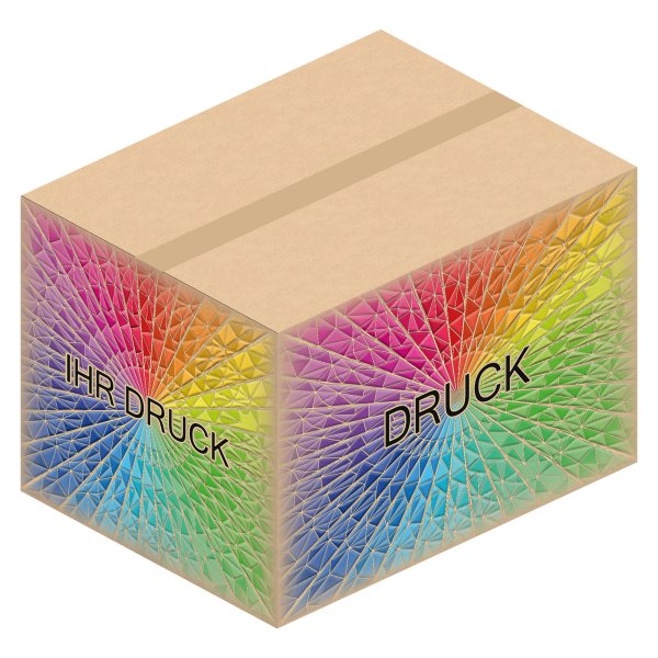 Faltkarton 650 x 500 x 450 mm (2-wellig) mit Digitaldruck