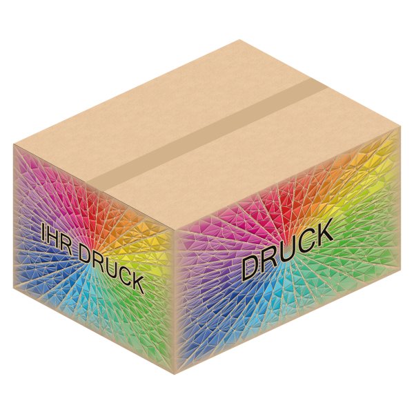 Faltkarton 650 x 500 x 350 mm (2-wellig) mit Digitaldruck