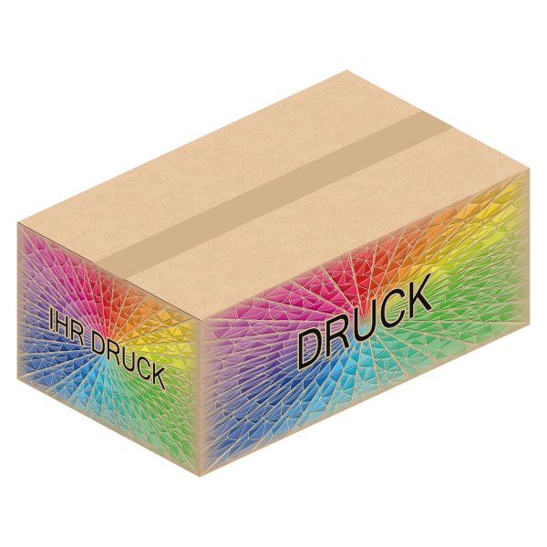 Faltkarton 490 x 290 x 180 mm (2-wellig) mit Digitaldruck