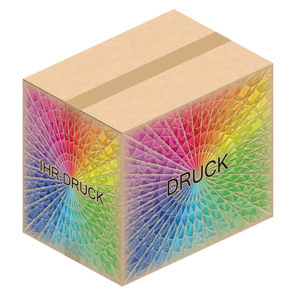 Faltkarton 694 x 494 x 588 mm mit Digitaldruck
