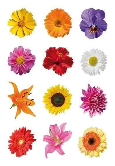 HERMA 3309 10x Sticker DECOR Bunte Gerberas