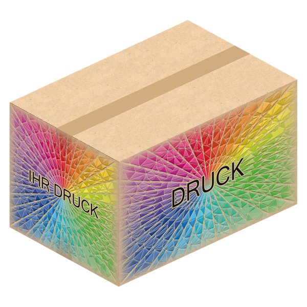 Faltkarton 540 x 360 x 320 mm mit Digitaldruck