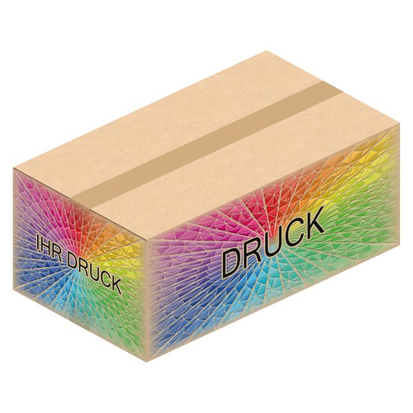Faltkarton 900 x 510 x 350 mm (2-wellig) mit Digitaldruck