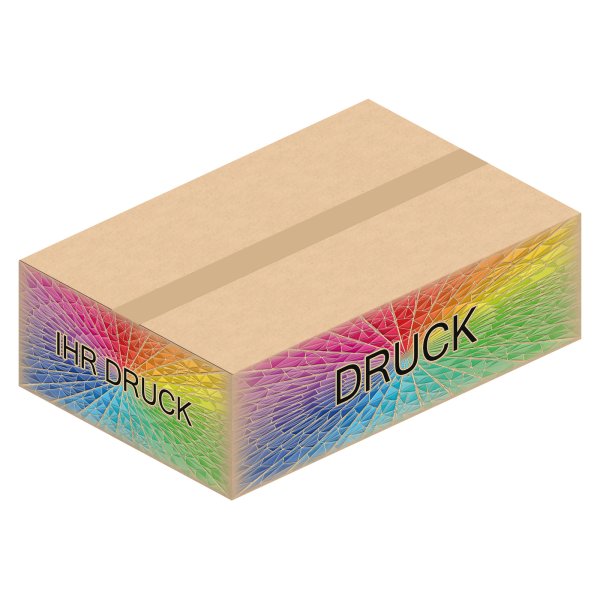 Faltkarton 586 x 386 x 178 mm (2-wellig) mit Digitaldruck