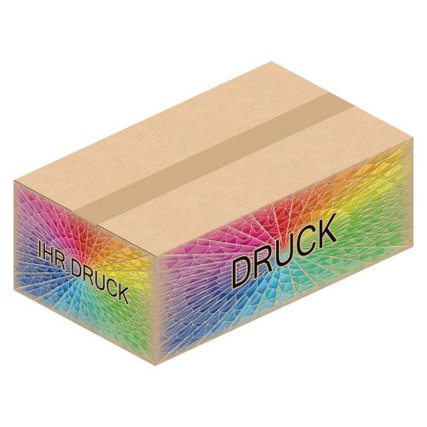 Faltkarton 412 x 242 x 134 mm (2-wellig) mit Digitaldruck