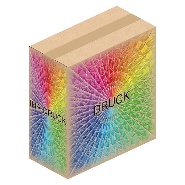 Faltkarton 270 x 130 x 290 mm mit Digitaldruck