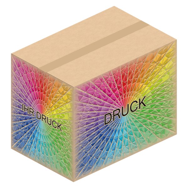 Faltkarton 580 x 380 x 450 mm (2-wellig) mit Digitaldruck