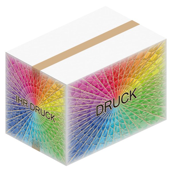 Faltkarton 585 x 385 x 400 mm (2-wellig) Weiß mit Digitaldruck