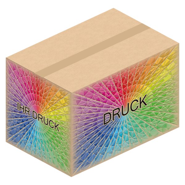 Faltkarton 585 x 385 x 385 mm (2-wellig) mit Digitaldruck