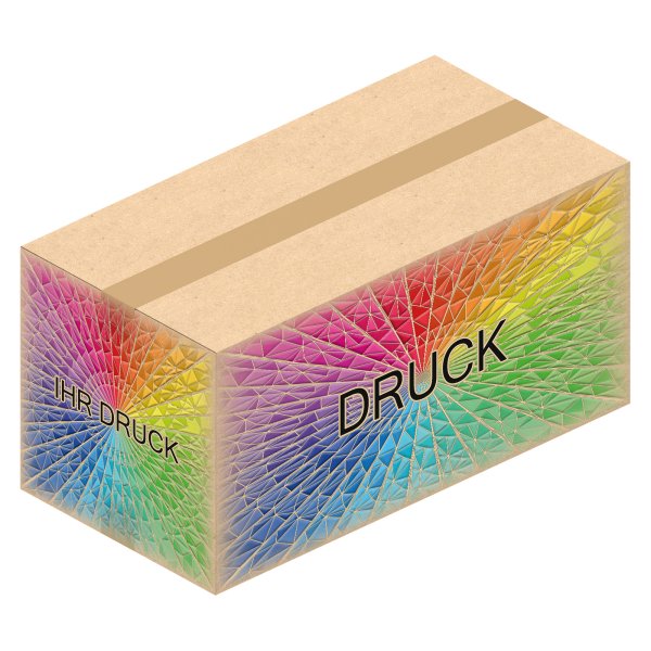 Faltkarton 565 x 290 x 280 mm (2-wellig) mit Digitaldruck