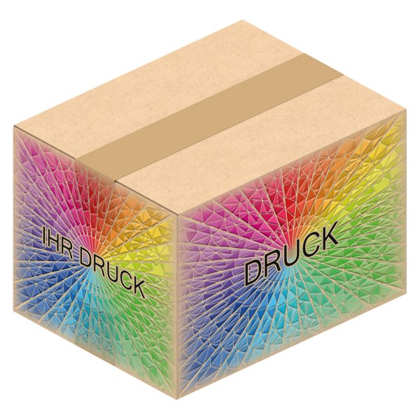 Faltkarton 182 x 142 x 124 mm (2-wellig) mit Digitaldruck
