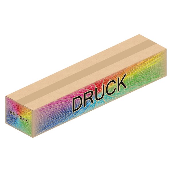 Faltkarton 700 x 155 x 60-120 mm mit Digitaldruck