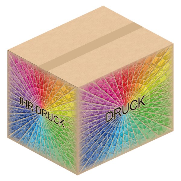 Faltkarton 480 x 380 x 370 mm (2-wellig) mit Digitaldruck