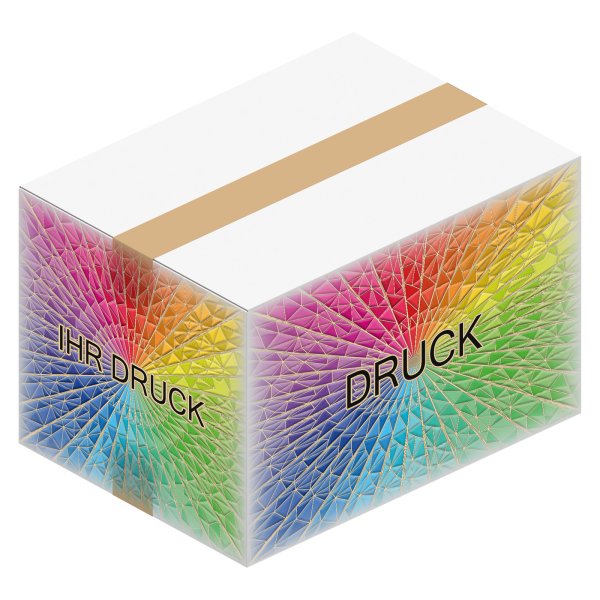 Faltkarton 385 x 285 x 250 mm (2-wellig) Weiß mit Digitaldruck