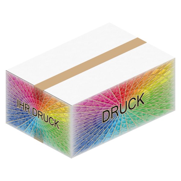 Faltkarton 344 x 234 x 138 mm mit Digitaldruck