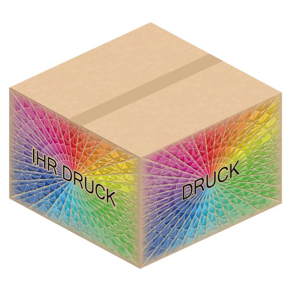 Faltkarton 500 x 500 x 330 mm mit Digitaldruck