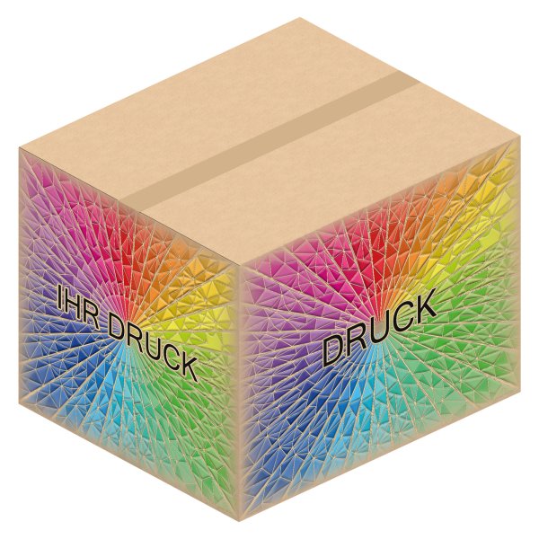 Faltkarton 650 x 550 x 500 mm (2-wellig) mit Digitaldruck