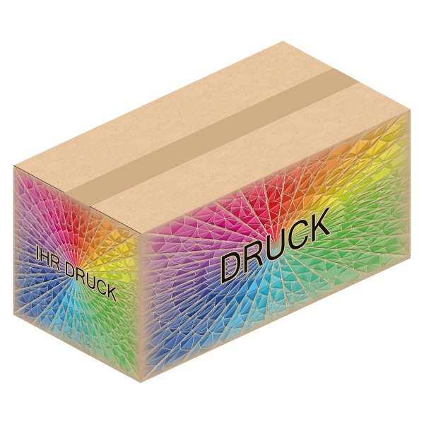 Faltkarton 430 x 220 x 200 mm (2-wellig) mit Digitaldruck