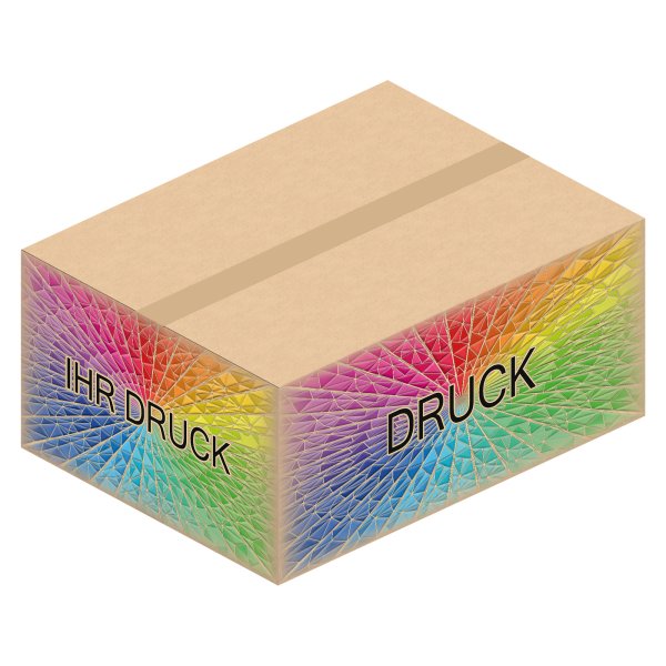 Faltkarton 644 x 494 x 268 mm (2-wellig) mit Digitaldruck