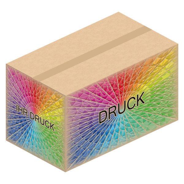 Faltkarton 694 x 394 x 300-388 mm mit Digitaldruck