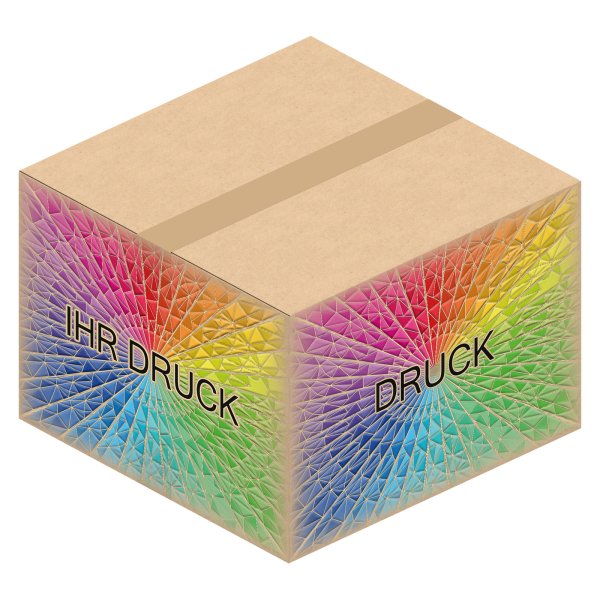 Faltkarton 350 x 350 x 250 mm mit Digitaldruck