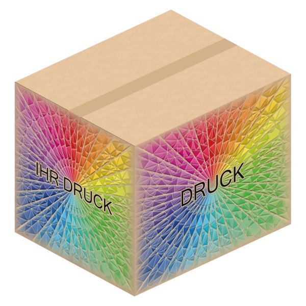 Faltkarton 580 x 480 x 470 mm (2-wellig) mit Digitaldruck