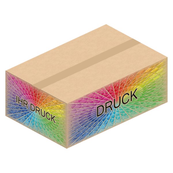 Faltkarton 585 x 385 x 220 mm (2-wellig) mit Digitaldruck