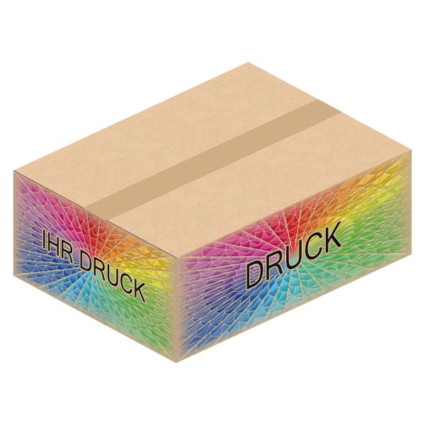 Faltkarton 394 x 294 x 138 mm mit Digitaldruck