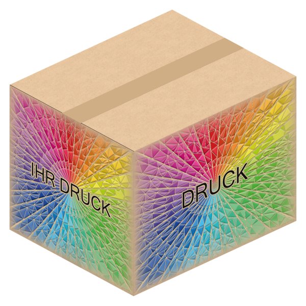 Faltkarton 400 x 330 x 300 mm mit Digitaldruck