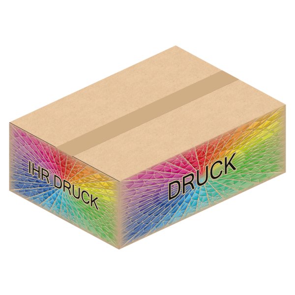 Faltkarton 350 x 250 x 120 mm (2-wellig) mit Digitaldruck