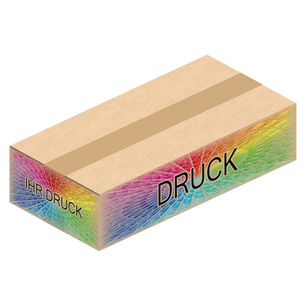 Faltkarton 582 x 282 x 124 mm (2-wellig) mit Digitaldruck