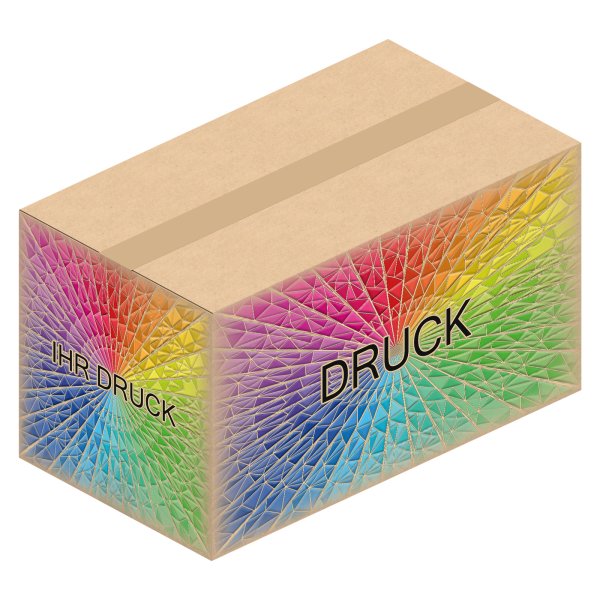 Faltkarton 460 x 260 x 260 mm (2-wellig) mit Digitaldruck